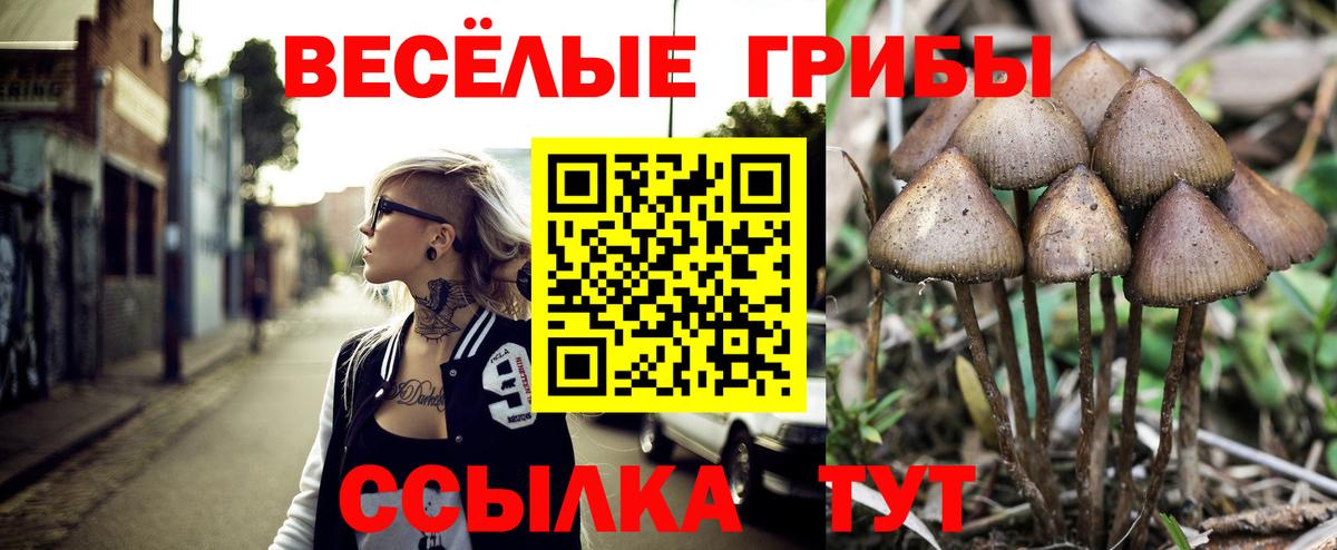 Псилоцибиновые грибы мухоморы Рузаевка