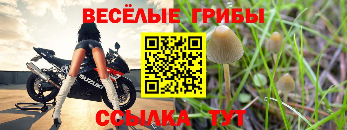 Псилоцибиновые грибы Magic Shrooms  Вход с VPN  Рузаевка  Галлюциногенные грибы MAGIC MUSHROOMS 